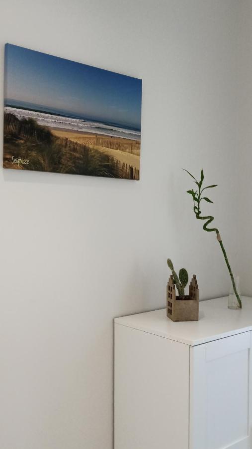 Orthevielle La Cle De Vos Reves Bed & Breakfast エクステリア 写真