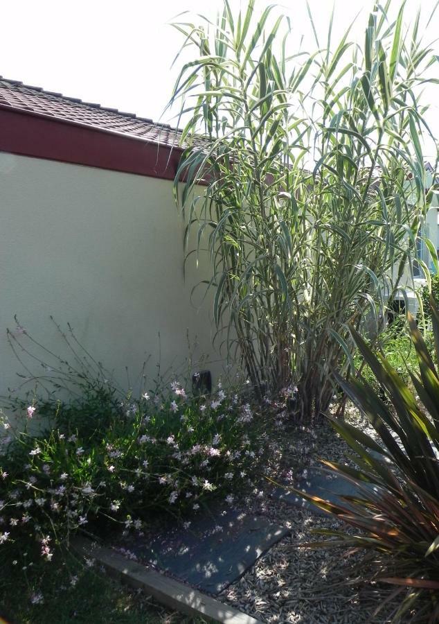 Orthevielle La Cle De Vos Reves Bed & Breakfast エクステリア 写真